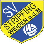 team-logo
