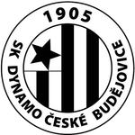 team-logo