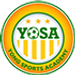 Young Sports Academy